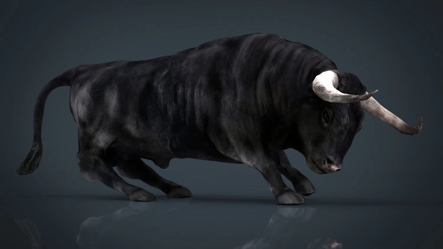 spanish bull 3D Model .c4d .max .obj .3ds .fbx .stl .blend 