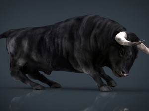 spanish bull 3D Model