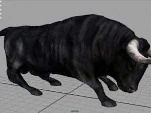 spanish bull 3D Model