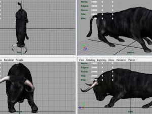 spanish bull 3D Model