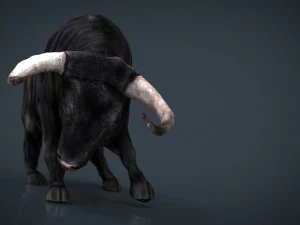 spanish bull 3D Model