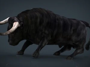spanish bull 3D Model