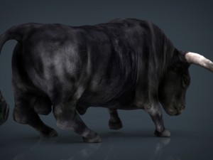 spanish bull 3D Модель
