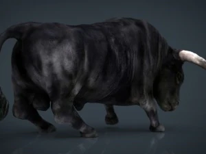 spanish bull 3D Model