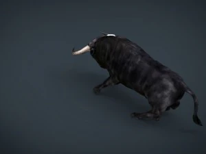spanish bull 3D Model
