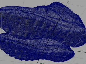 t&ecirc;nis 10 Modelo 3D