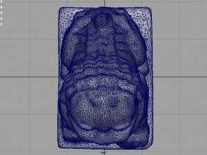 fu lions Modello 3D