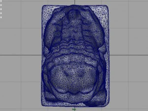 fu lions 3D Model