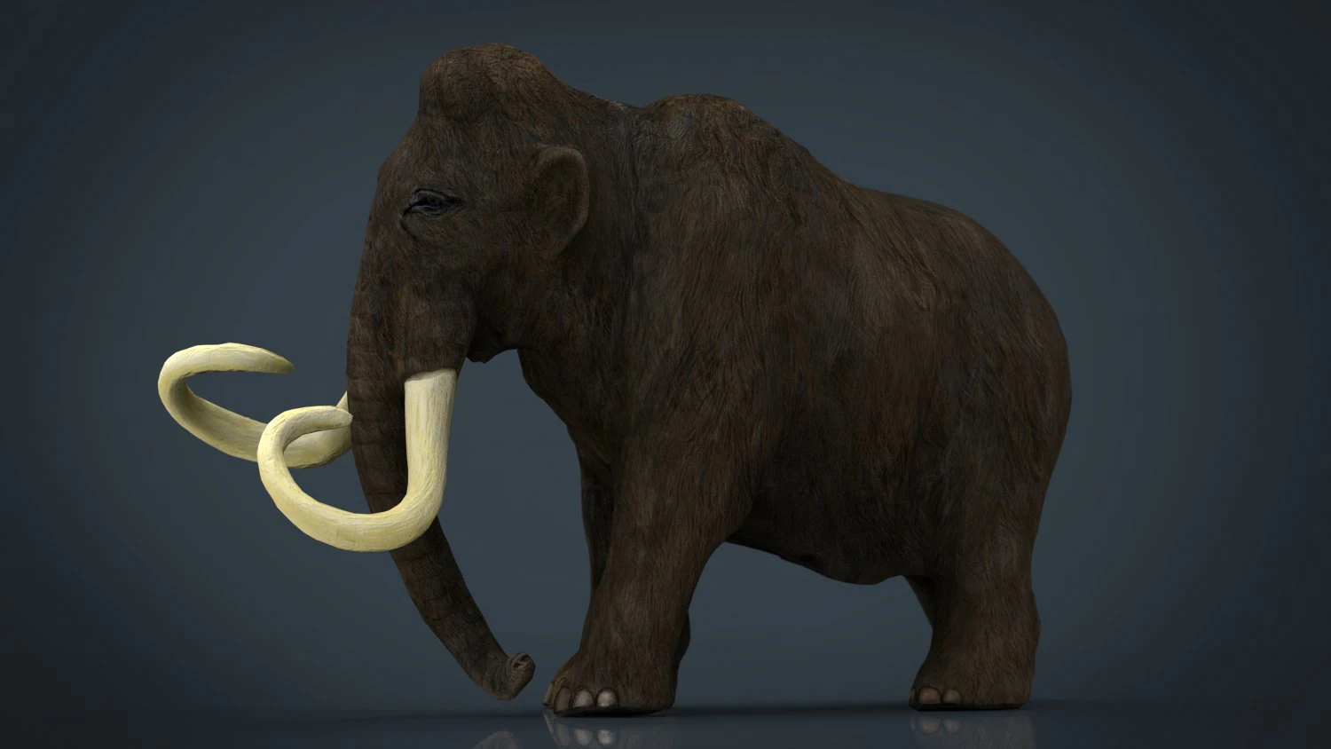 mammoth 3D Model .c4d .max .obj .3ds .fbx .stl .blend 