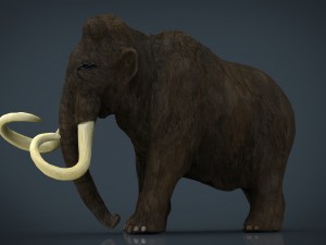 mammoth 3D Model