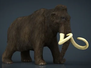 mammoth 3D Model