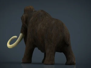 mammoth 3D Model