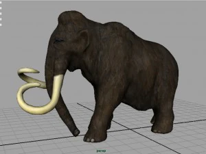 mammoth 3D Model
