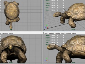 giant tortoise 3D-Modell