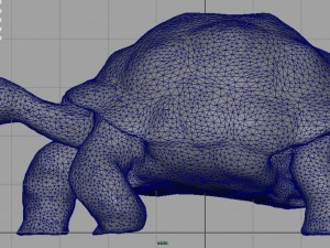 giant tortoise 3D-Modell