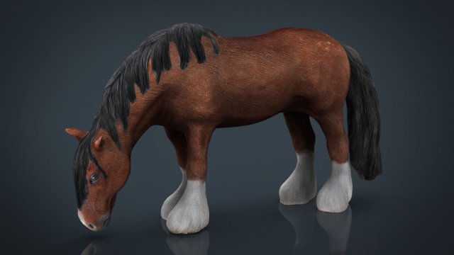 horse eating 3D-Modell .c4d .max .obj .3ds .fbx .stl .blend 