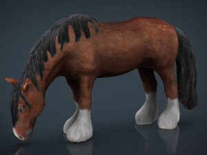 horse eating 3D मॉडल