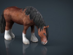 horse eating 3D Model