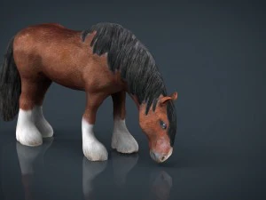 horse eating 3D Model