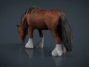 horse eating 3D Model