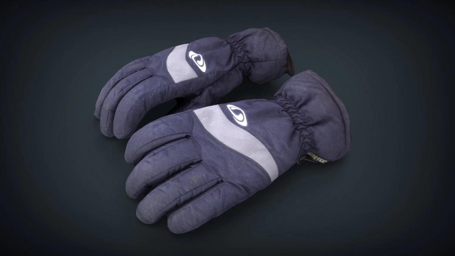ski gloves for woman 3D Model .c4d .max .obj .3ds .fbx .stl .blend 