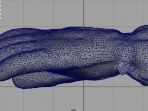 ski gloves for woman Modelo 3D