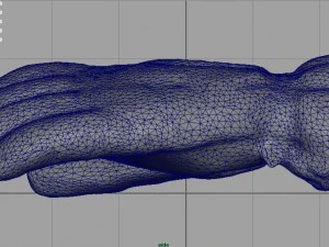 ski gloves for woman 3D Model
