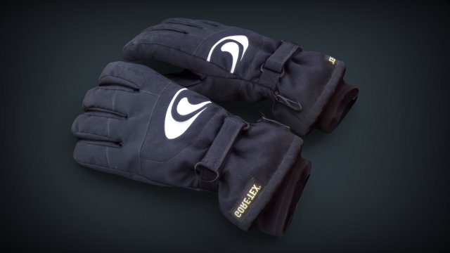 ski gloves 2 3D Model .c4d .max .obj .3ds .fbx .stl .blend 