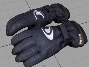 ski gloves 2 3D Model