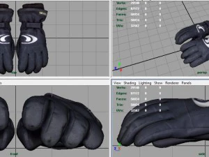 ski gloves 2 3D Model