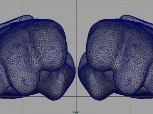 ski gloves 2 3D Model