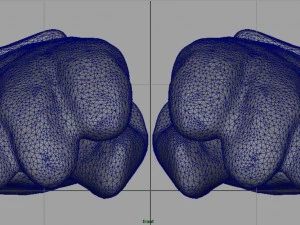 ski gloves 2 3D Model