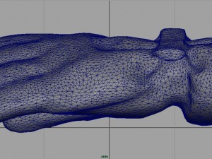 ski gloves 2 3D Model