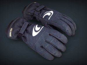 ski gloves 2 3D Model