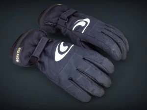 ski gloves 2 3D Model