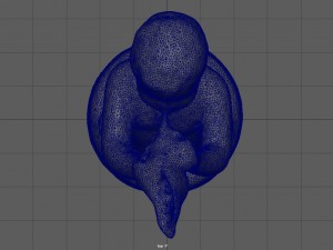 child statue 1 Model 3D