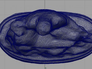 la pieta di michelangelo Modelo 3D