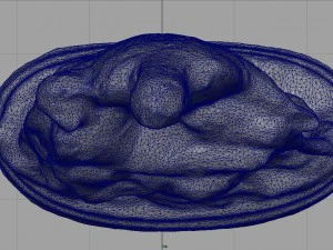 la pieta di michelangelo 3D Model