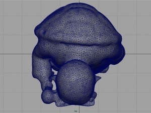 muten roshi Modèle 3D