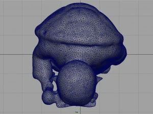 muten roshi 3D Model