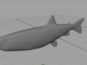 trout 3D Model