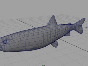 trout Modelo 3D