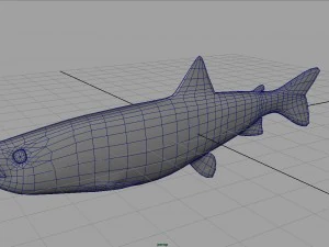 trout 3D Model