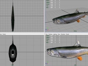 trout Modelo 3D