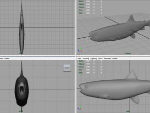 trout Modelo 3D