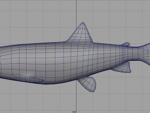 trout Modelo 3D