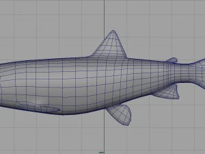 trout 3D Model