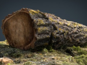 dead trunk 6 3D Model
