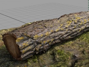 dead trunk 6 3D 模型