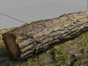 dead trunk 6 3D Model